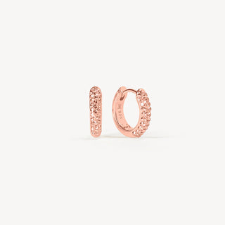 *NEW* Hillberg & Berk | Always On Sparkle Hoops