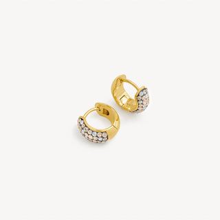 *NEW* Hillberg & Berk | Dancing Queen Sparkle Collection