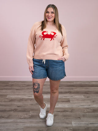 *NEW* Claws Out Cozy Sweater | Pink