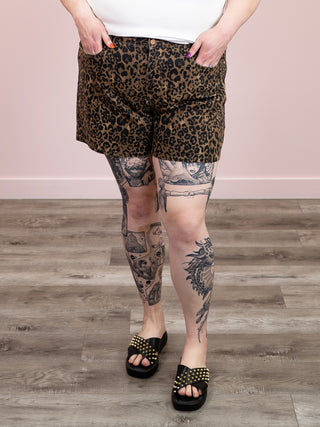 *NEW* Judy Blue | High Rise Leopard Short | Felix