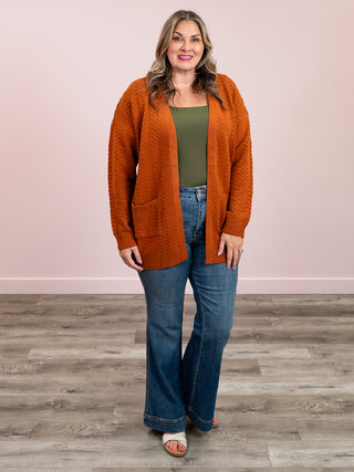 Billie Open Knit Cardigan | Rust