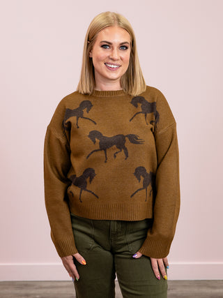 Pink Martini | Meadow Sweater | Brown
