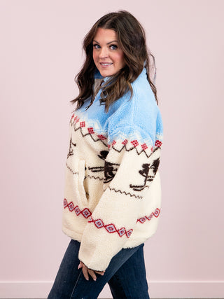 RD Style | Alpine Sherpa Half Zip Jacket | Skier