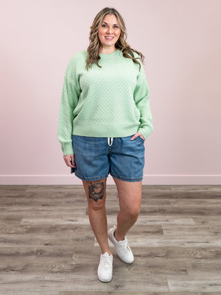 *NEW* Gianna Pullover Sweater | Spring Sage Green