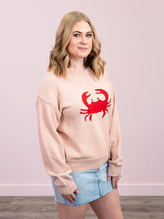 *NEW* Claws Out Cozy Sweater | Pink