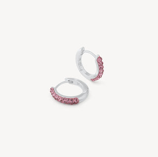 *NEW* Hillberg & Berk | H&B PINK Collection