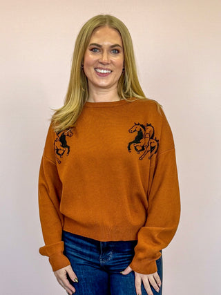 *NEW* Pink Martini | Ellis Sweater | Brown