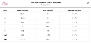 Judy Blue | High Rise Palazzo Jean | Reed