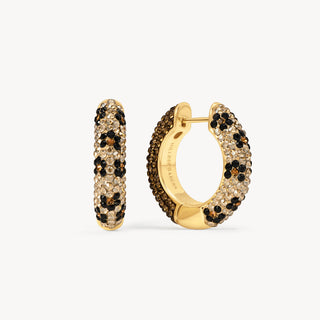 *NEW* Hillberg & Berk | Espresso Sparkle Collection