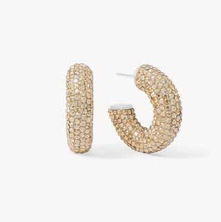 *NEW* Hillberg & Berk | Sparkle Chunky Hoop