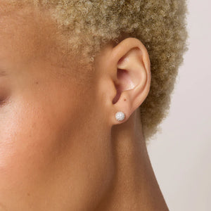*NEW* Hillberg & Berk | Triplet Stud Earrings