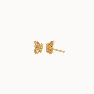 Hillberg & Berk | Mini Stud Collection | Gold